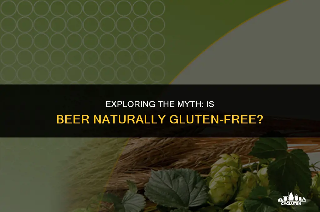 is beer naturally gluten free