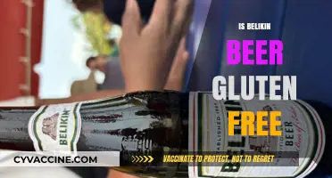 Exploring Belize: Is Belikin Beer Gluten-Free?