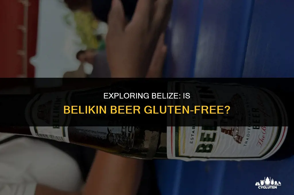 is belikin beer gluten free