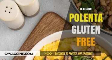 Exploring Gluten-Free Options: Is Bellino Polenta Safe for Celiacs?