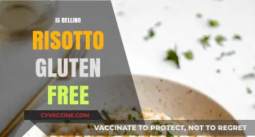 Savoring Safety: Is Bellino Risotto Your Gluten-Free Delight?