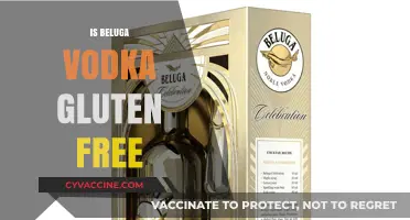 Sipping Safely: Exploring Whether Beluga Vodka is Gluten-Free