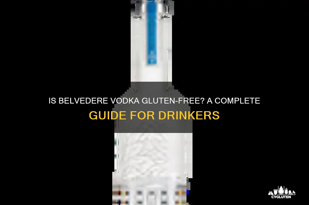 is belvedere gluten free
