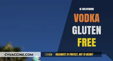 Is Belvedere Vodka Gluten-Free? A Complete Guide for Drinkers