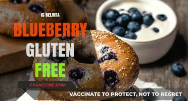 Belvita Blueberry Breakfast Bars: A Gluten-Free Option?