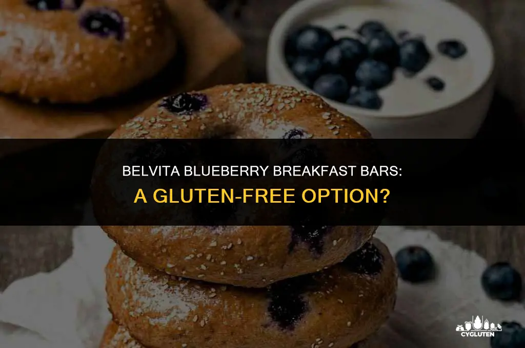 is belvita blueberry gluten free