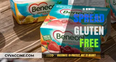 Exploring Gluten-Free Options: Is Benecol Spread Safe for Celiacs?