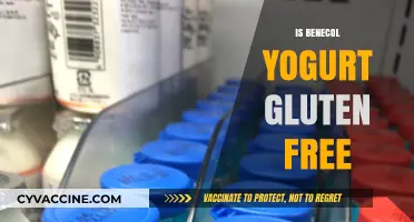 Exploring Gluten-Free Options: Is Benecol Yogurt Safe for Celiacs?