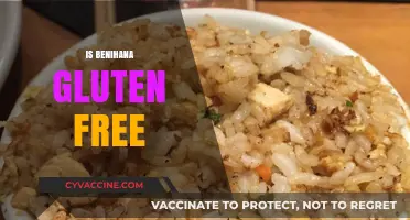 Is Benihana Gluten-Free? Exploring the Menu for Celiac Diners