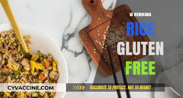 Exploring Gluten-Free Options: Is Benihana Rice Safe for Celiacs?
