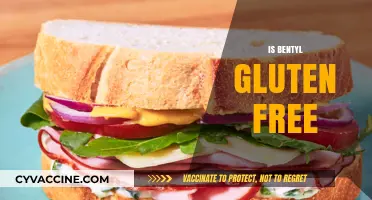 Is Bentyl Gluten-Free? A Comprehensive Guide for Celiac Patients