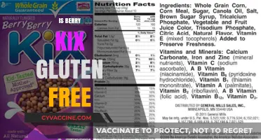 Berry Kix Cereal: A Gluten-Free Breakfast Option for Health-Conscious Eaters