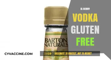 Sipping Safely: Exploring Whether Berry Vodka is Gluten-Free