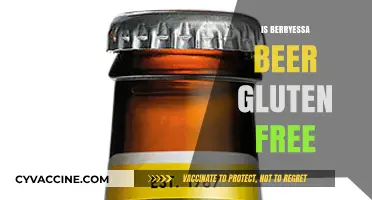 Sipping Safely: Exploring Berryessa Beer's Gluten-Free Options