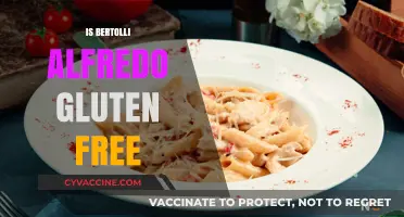 Is Bertolli Alfredo Gluten Free? A Comprehensive Guide for Celiacs