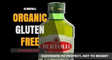Exploring Bertolli: Is Their Organic Pasta Gluten-Free?