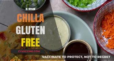 Exploring Gluten-Free Options: The Truth About Besan Chilla