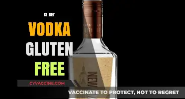 Exploring the Truth: Is Bet Vodka Really Gluten-Free?