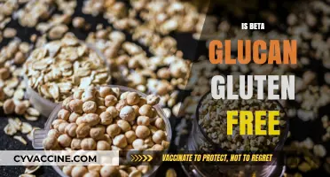 Is Beta Glucan Gluten-Free? Unraveling the Facts for a Healthy Diet