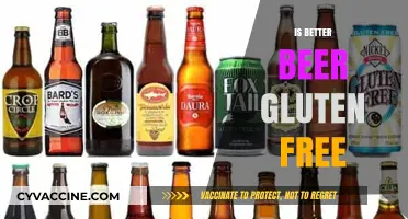 Exploring the Best Gluten-Free Beer Options: A Comprehensive Guide