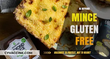 Exploring Gluten-Free Options: Is Beyond Mince Safe for Celiacs?