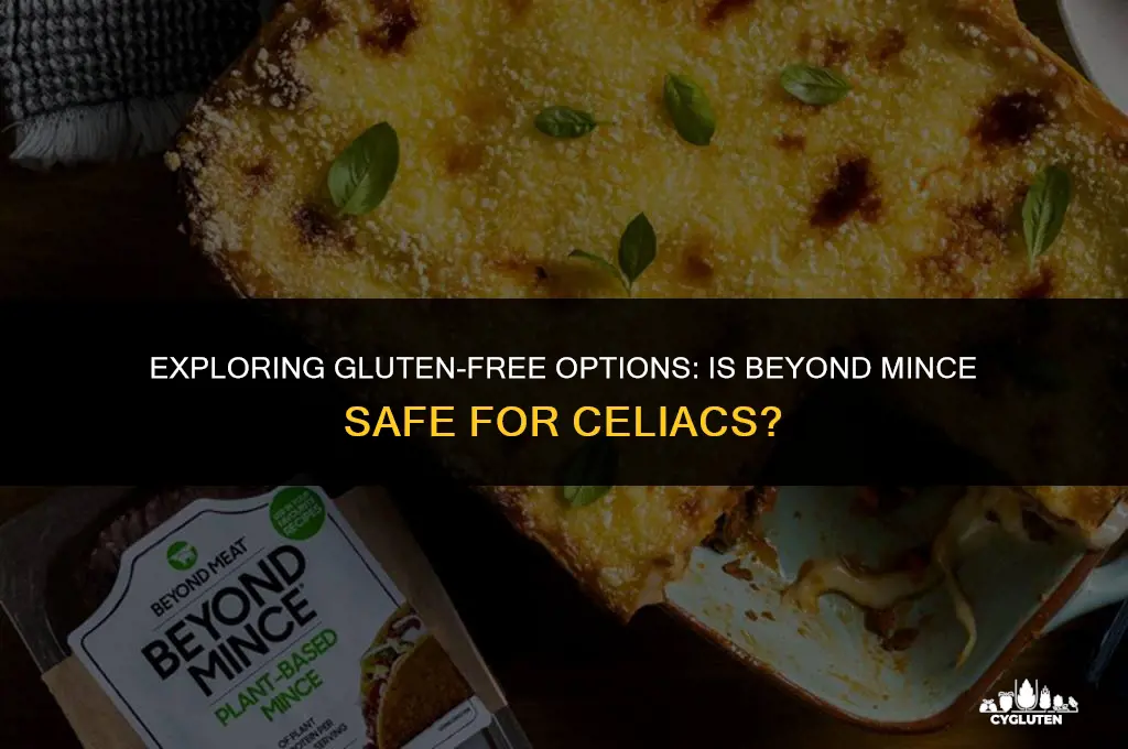 is beyond mince gluten free