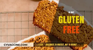 Is BHT Gluten Free? Uncovering the Truth for Celiac Diets