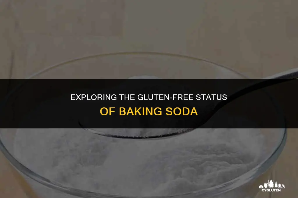 is bicarb soda gluten free