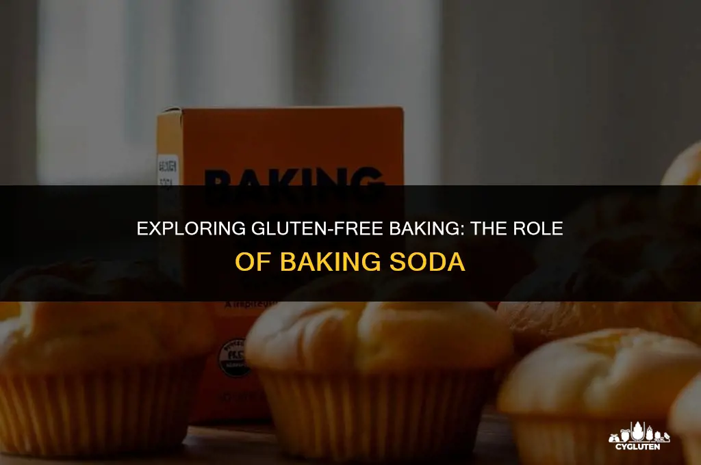 is bicarbonate soda gluten free