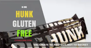 Exploring Gluten-Free Options: Is Big Hunk Safe for Celiacs?