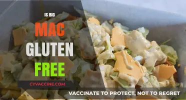 Exploring Gluten-Free Options: The Big Mac's Place on the Menu