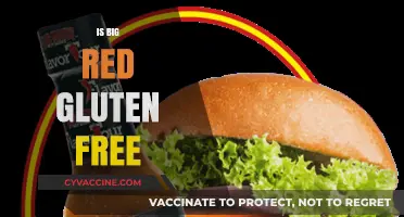 Exploring Gluten-Free Options: Is Big Red Safe for Celiacs?