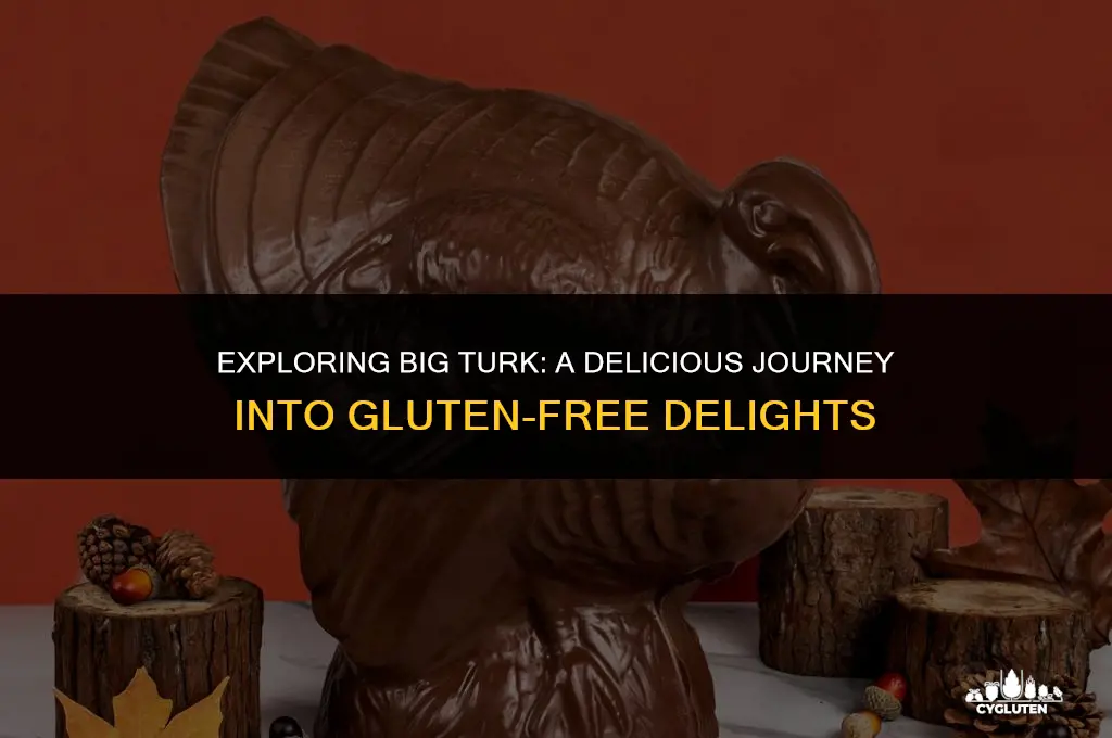 is big turk gluten free