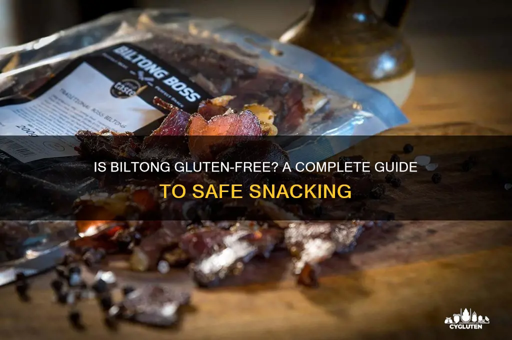 is biltong gluten free