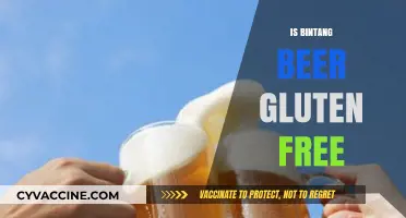 Exploring Gluten-Free Options: Is Bintang Beer a Safe Choice?