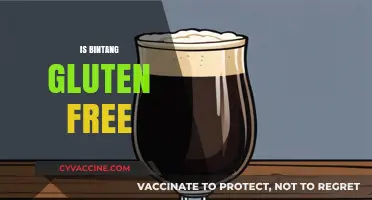 Is Bintang Gluten-Free? Exploring the Beer's Ingredients and Safety