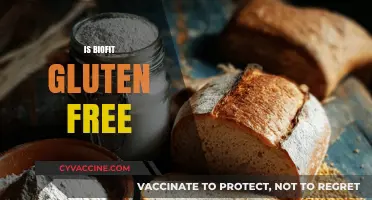 Is Biofit Gluten-Free? A Comprehensive Guide to Its Ingredients
