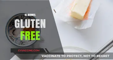 Is Biomel Gluten-Free? Exploring Its Ingredients and Safety for Celiacs