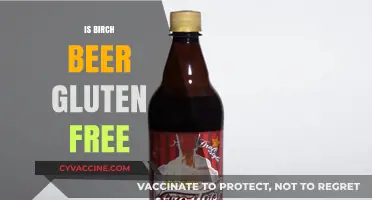 Exploring Gluten-Free Options: Is Birch Beer Safe for Celiacs?