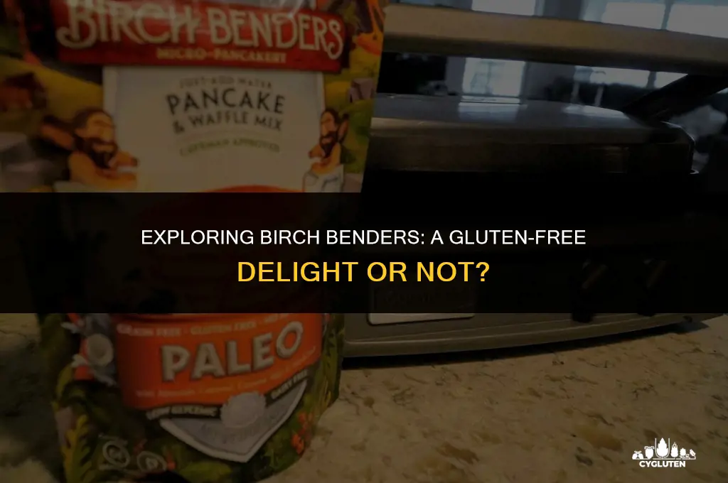 is birch benders gluten free