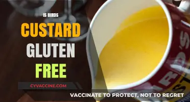 Exploring Dietary Options: Is Bird's Custard Gluten-Free?