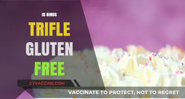 Exploring Gluten-Free Options: Is Birds Trifle Safe for Celiacs?