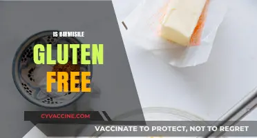 Is Birmisile Gluten Free? A Comprehensive Guide to Its Ingredients