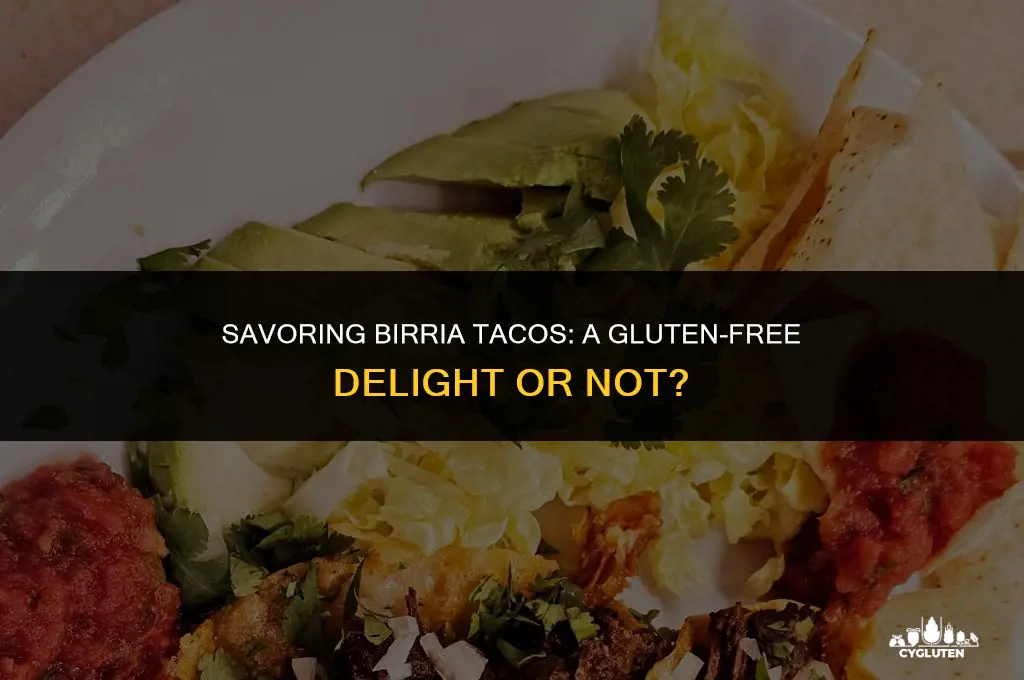 is birria tacos gluten free
