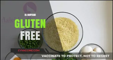 Is Biryani Gluten-Free? A Complete Guide for Food Lovers