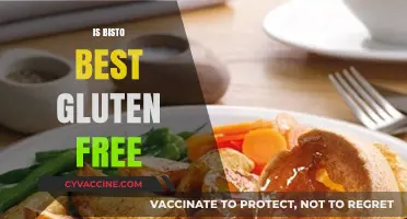 Exploring Gluten-Free Options: Is Bisto the Best Choice?