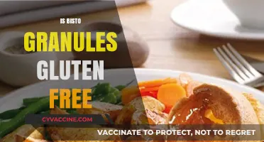 Exploring Gluten-Free Options: Are Bisto Granules Safe for Celiacs?