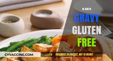 Exploring Gluten-Free Options: Is Bisto Gravy Safe for Celiacs?