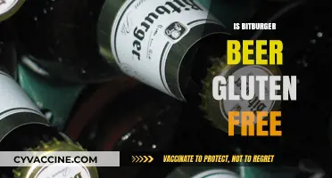 Exploring Bitburger: A Gluten-Free Beer Option?