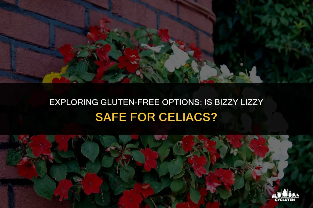 is bizzy lizzy gluten free